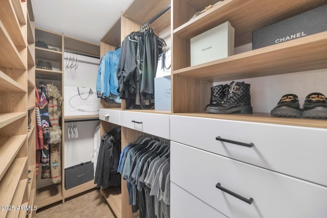 12682 N 80th Pl, Scottsdale, AZ 85260 - view of spacious closet
