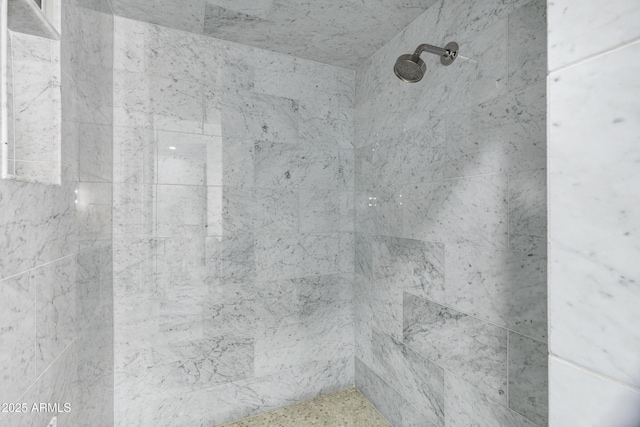 2339 E Virgo Pl, Chandler, AZ 85249 - bathroom view of tiled shower
