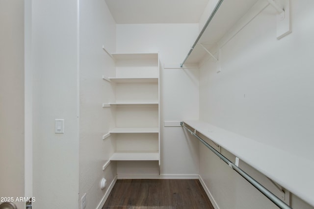 walk in closet featuring dark wood-style floors