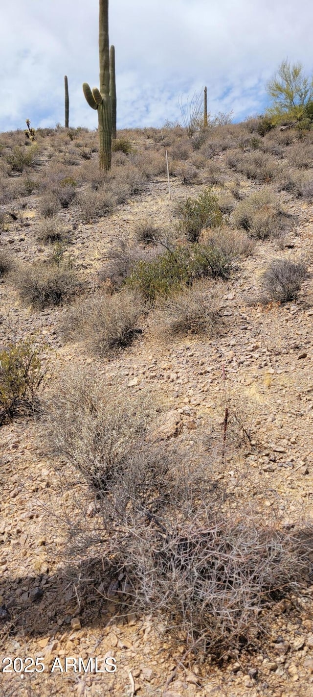 4790 N El Adobe Ranch Rd -, Unit Tucson, AZ 85745