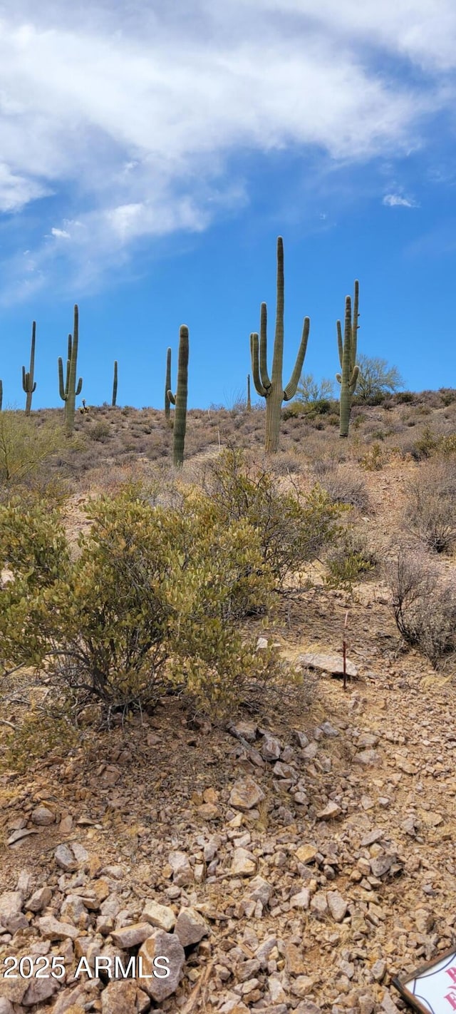 4790 N El Adobe Ranch Rd -, Unit Tucson, AZ 85745