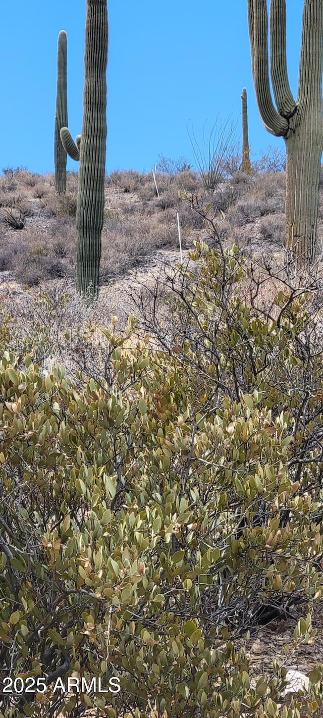 4790 N El Adobe Ranch Rd -, Unit Tucson, AZ 85745
