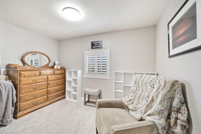 living area featuring carpet flooring