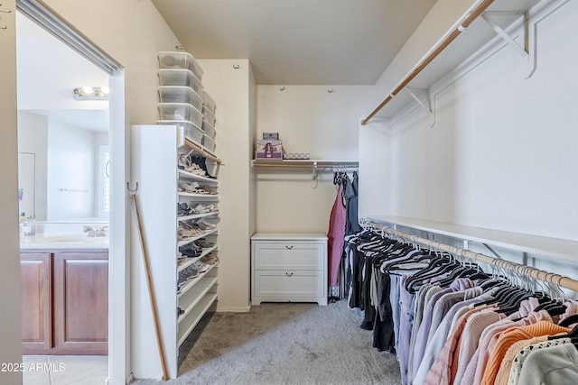 walk in closet with light carpet