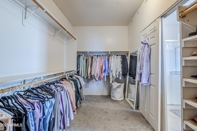 walk in closet with light colored carpet