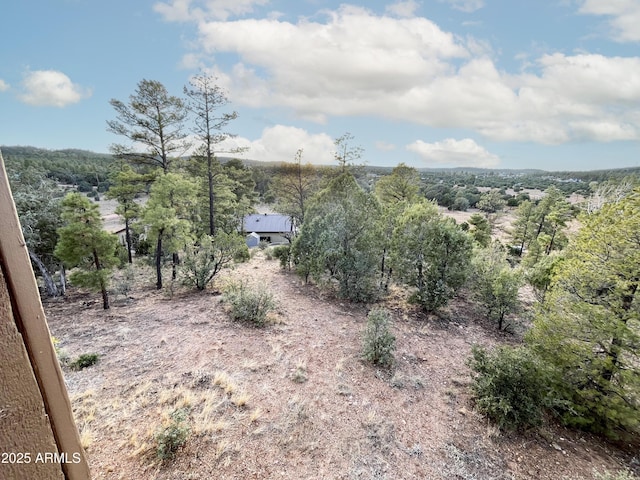 5408 Corda Ln, Show Low, AZ 85901 - exterior space