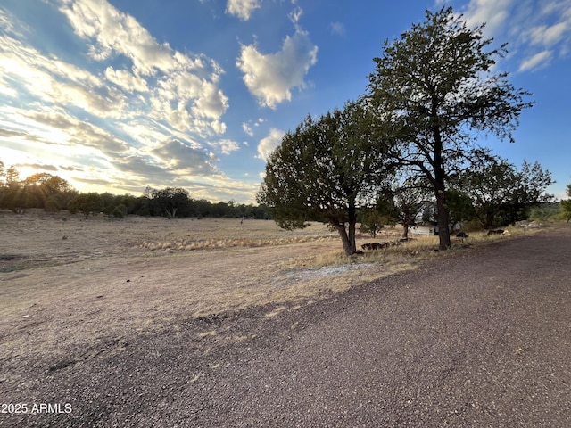 5408 Corda Ln, Show Low, AZ 85901 - exterior space featuring a rural view