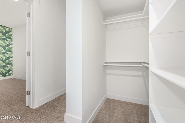 walk in closet with carpet flooring