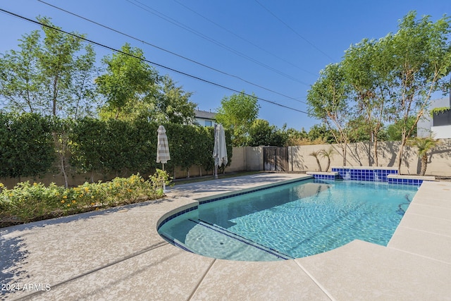 view of pool featuring a patio