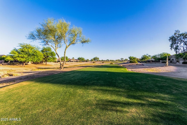 654 E Taylor Trl, San Tan Valley, AZ 85143 - view of grassy yard