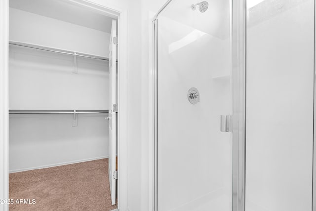 bathroom featuring an enclosed shower