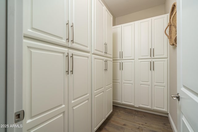 26673 W Ponderosa Ln, Buckeye, AZ 85396 - view of closet