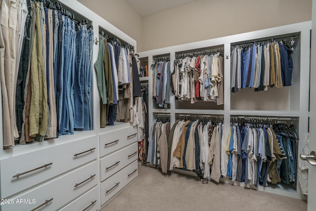 26673 W Ponderosa Ln, Buckeye, AZ 85396 - view of spacious closet
