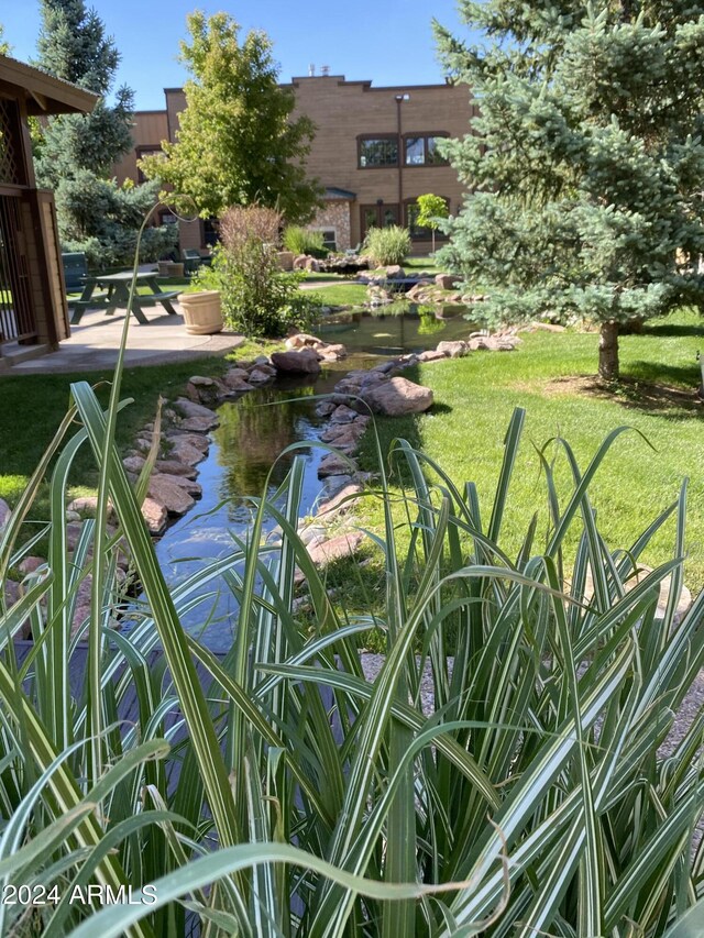 2361 Quarter Horse Trl Unit 232, Overgaard, AZ 85933 - exterior space with a small pond