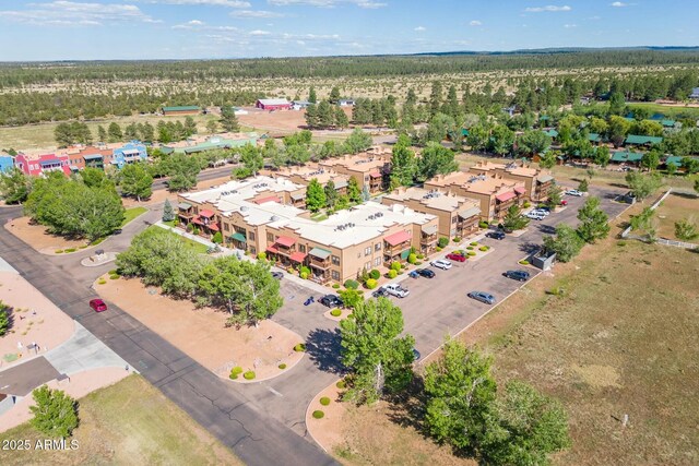 2361 Quarter Horse Trl Unit 232, Overgaard, AZ 85933 - aerial view