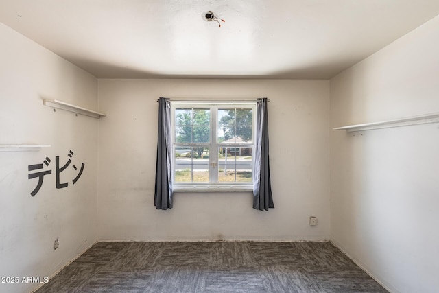 3001 N 21st Ave, Phoenix, AZ 85015 - spacious closet with carpet floors