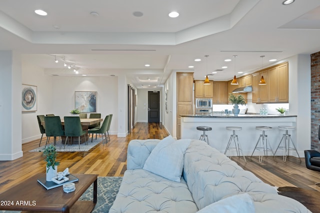 living room with a raised ceiling and light wood-type flooring