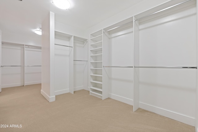 walk in closet featuring carpet floors