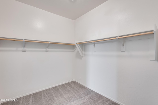 spacious closet with carpet flooring