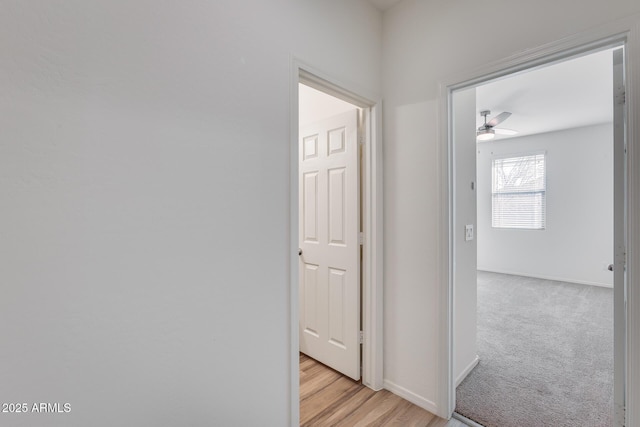 corridor featuring light wood-style flooring, baseboards, and light colored carpet