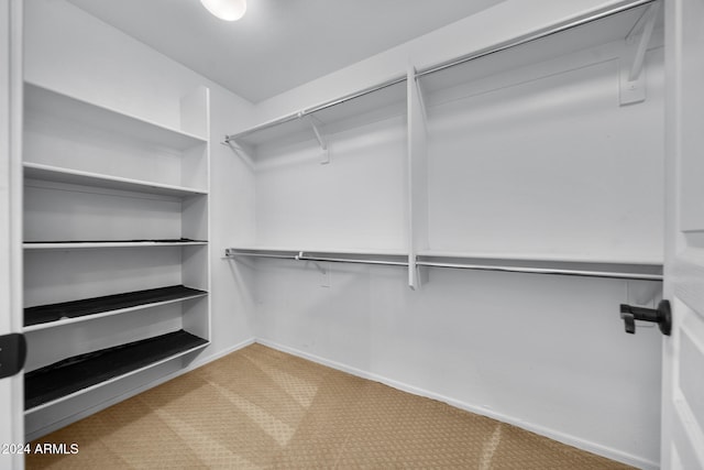 spacious closet with carpet