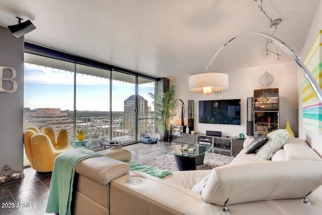 living area with expansive windows