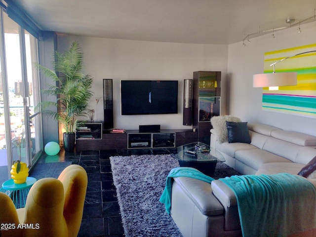 living area featuring expansive windows