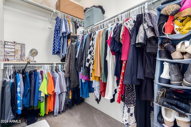 walk in closet featuring carpet floors