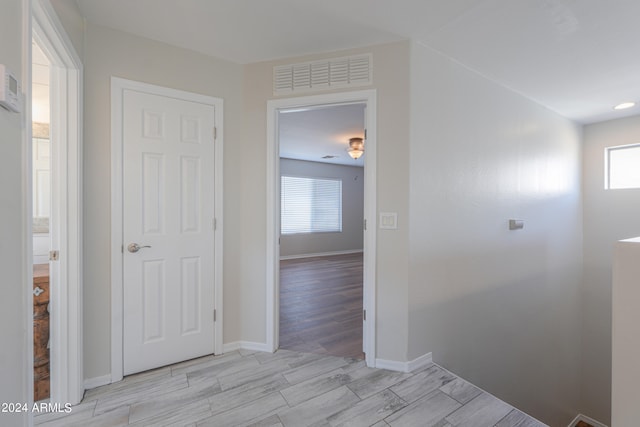 hall featuring light hardwood / wood-style flooring and a wealth of natural light