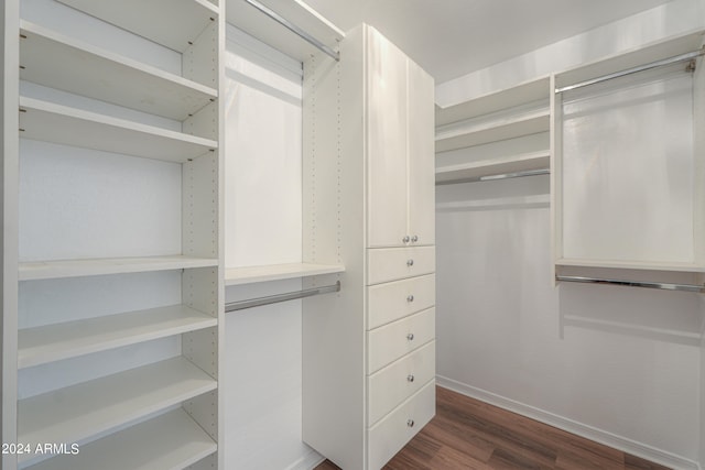 walk in closet with dark hardwood / wood-style floors