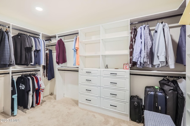 spacious closet featuring light colored carpet