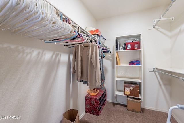 spacious closet with carpet