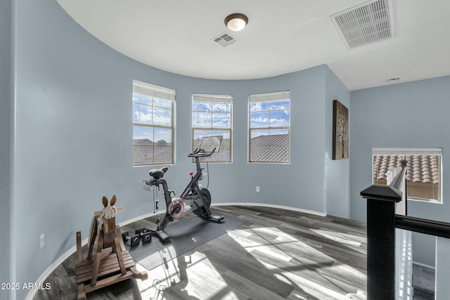 exercise area featuring hardwood / wood-style flooring