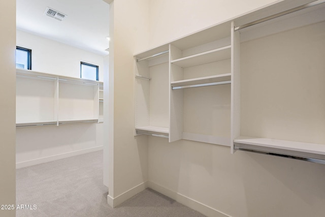 spacious closet with light colored carpet