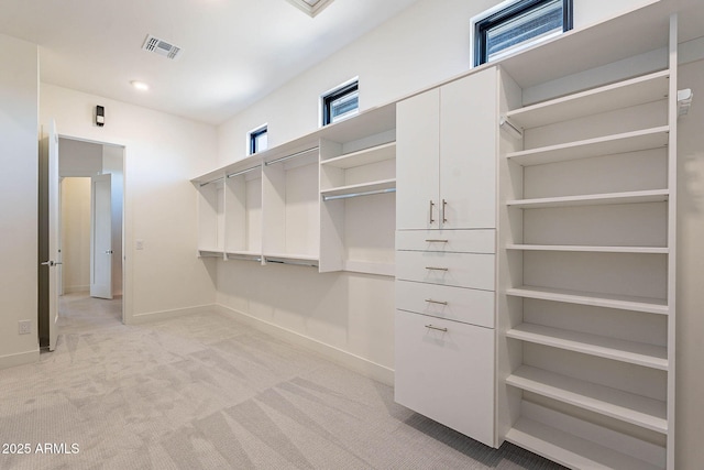 spacious closet featuring light carpet