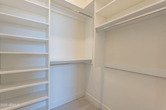 spacious closet with carpet floors