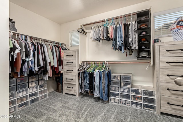 7858 W Fetlock Trl, Peoria, AZ 85383 - walk in closet with carpet floors