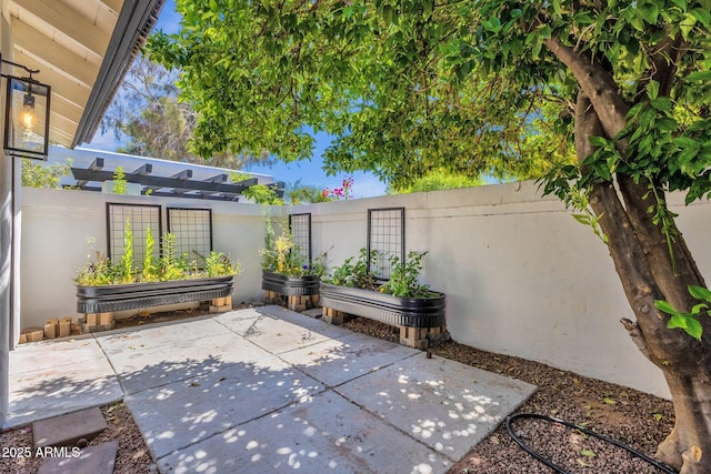 10360 N 98th St, Scottsdale, AZ 85258 - view of patio featuring a fenced backyard and a vegetable garden