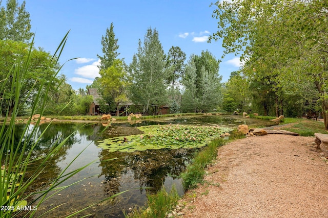 view of community with a water view