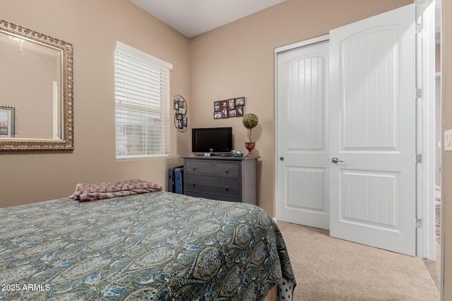 20556 W Point Ridge Rd, Buckeye, AZ 85396 - carpeted bedroom with a closet