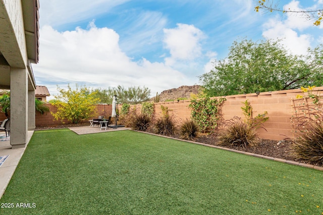 view of yard featuring a fenced backyard and a patio area