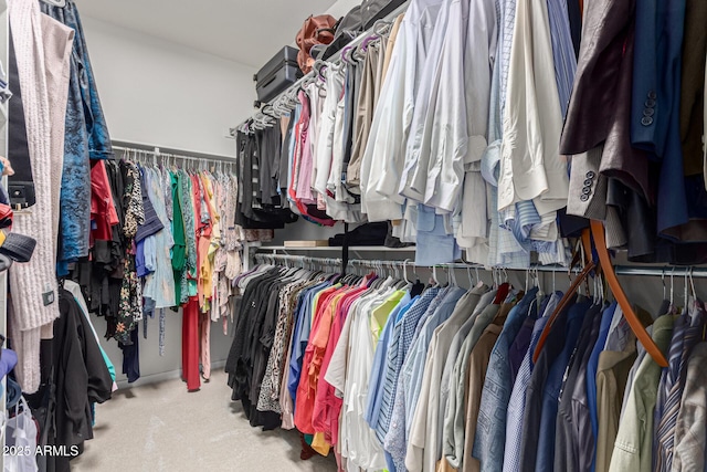 walk in closet featuring carpet flooring