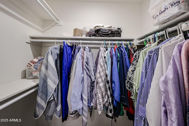 view of walk in closet