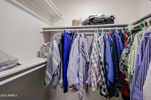 view of spacious closet