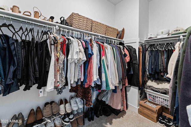 27510 N 30th Ln, Phoenix, AZ 85083 - walk in closet featuring carpet floors