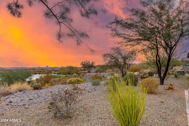 view of yard at dusk