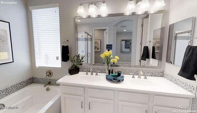 bathroom with vanity and independent shower and bath