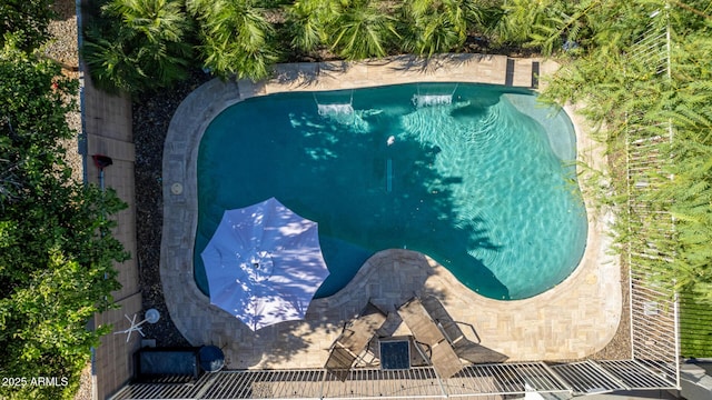 view of swimming pool