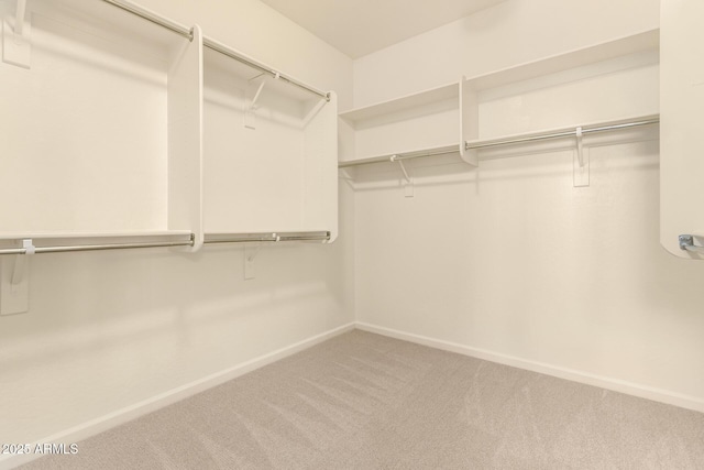 17419 W Elaine Dr, Goodyear, AZ 85338 - spacious closet featuring carpet flooring