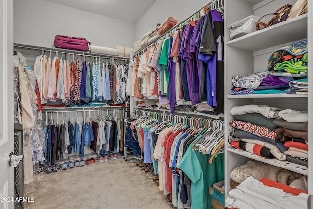 spacious closet with carpet